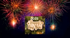 Share New Year 2025 with a beautiful memory