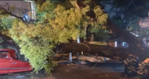 Delhi storm, hailstorm, 2 dead, some homeless
