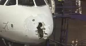 धूलभरी आंधी के साथ भारी बारिश तथा ओले बरसे 2 की मौत कुछ बेघर Delhi storm, hailstorm, 2 dead, some homeless