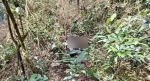 मेघालय हनीमून मर्डर खौफनाक हत्या रहस्य से भरा घटनाक्रम meghalaya-honeymoon-murder-horrific-incident