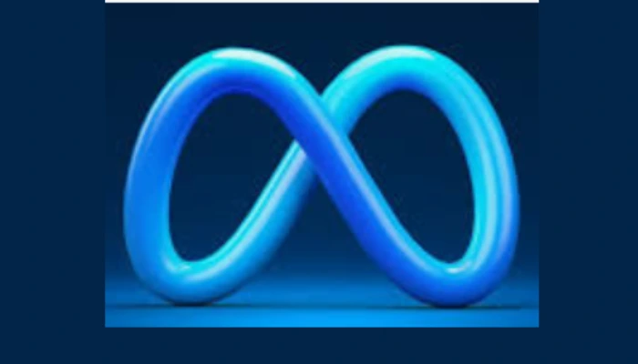 एच-1बी वीजा पर भारतीय महिला को नौकरी से मेटा ने निकला