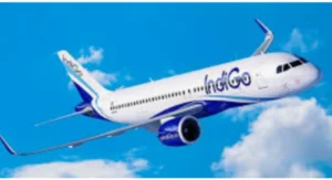 Ministry directs baggage tracing for IndiGo shipments