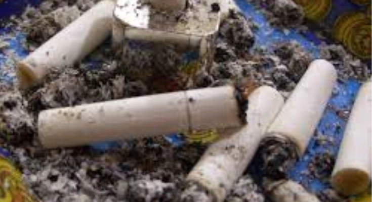 World No Tobacco Day: History and Importance